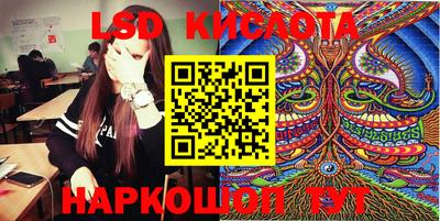 прущие грибы Канаш