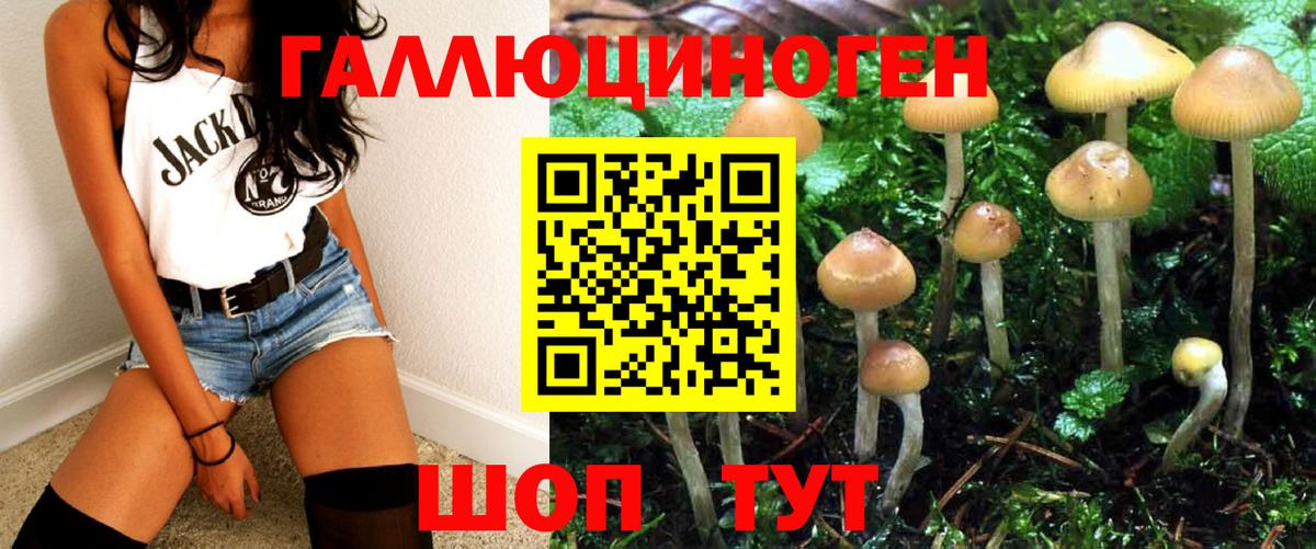Псилоцибиновые грибы мухоморы Малоярославец