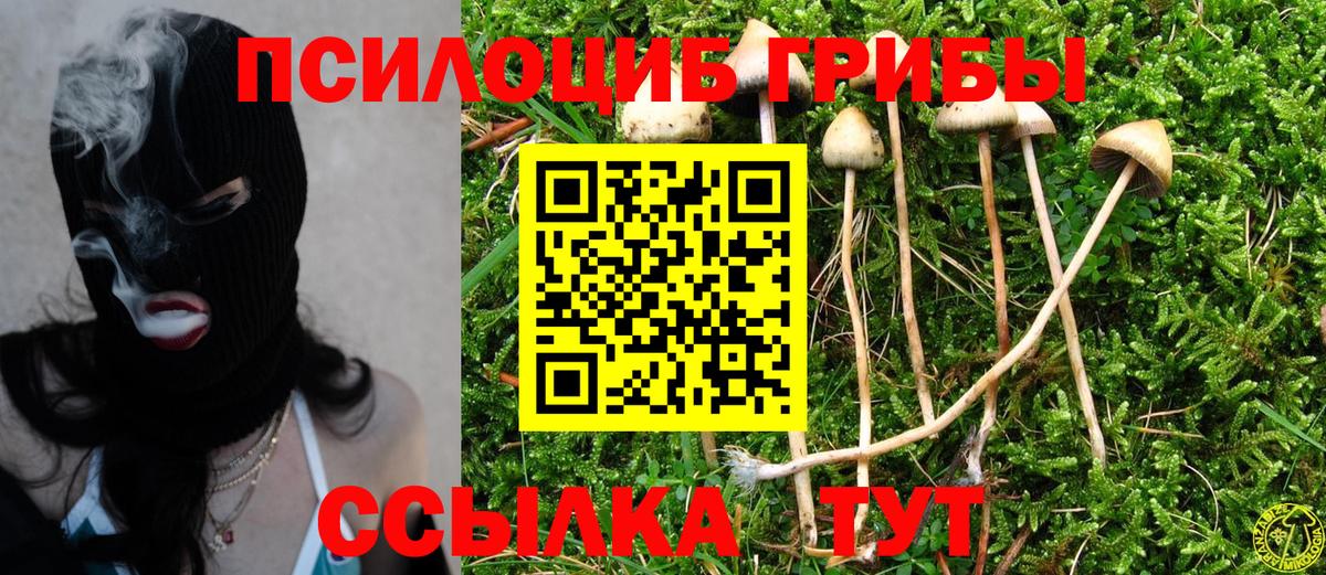 Галлюциногенные грибы Magic Shrooms  Вход с VPN  Малоярославец  цены наркотик  Галлюциногенные грибы ЛСД 