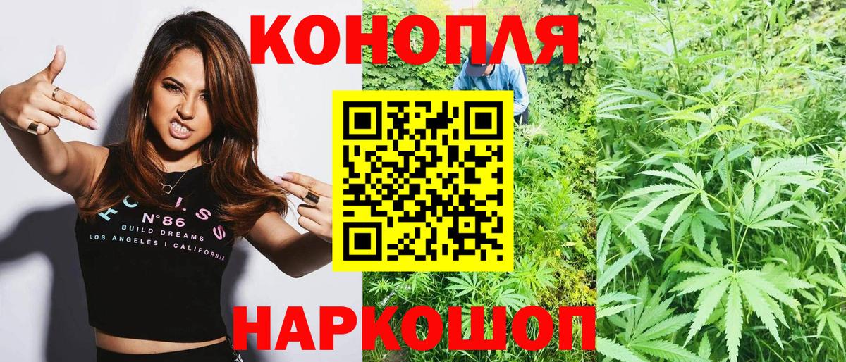 Канабис MAZAR Малоярославец